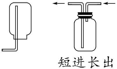 氨气传输(氨气主要通过什么进入人体)-图3 氨气传输(氨气主要通过什么进入人体)-图3