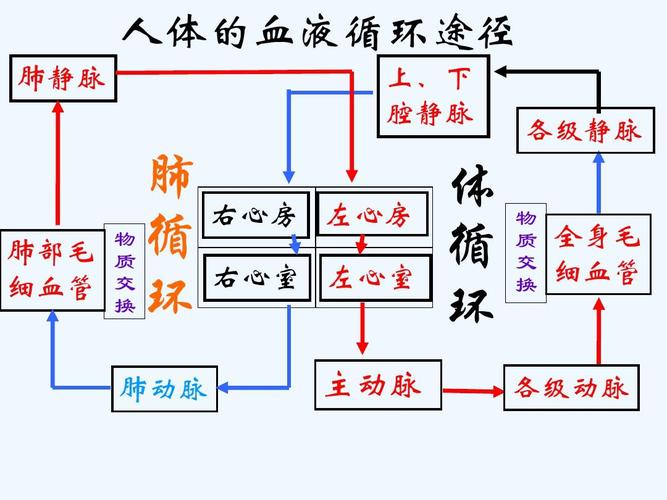 循环式传输摸式（循环式传输模式）