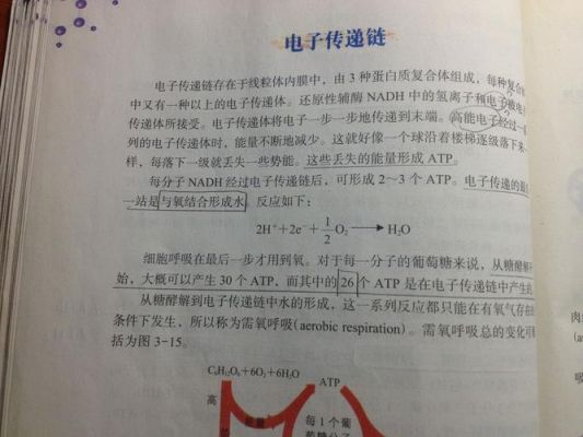 电子传输方式有哪些问题(电子传输方式有哪些问题及答案)-图3 电子传输方式有哪些问题(电子传输方式有哪些问题及答案)-图3