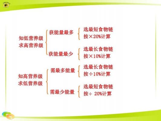 传输效率公式（传输效率怎么求）