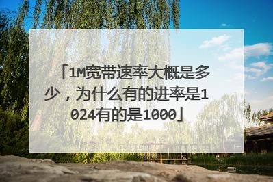 传输速率最大是多少（传输速率是1000还是1024）