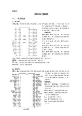 ic芯片传输数据的引脚(芯片引脚en)-图3 ic芯片传输数据的引脚(芯片引脚en)-图3