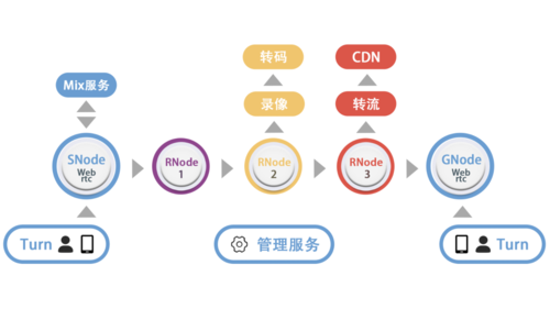 实时视频传输系统（实时音视频传输网络）