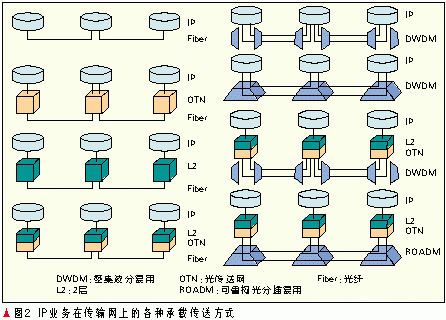分组网传输波分（分组传送网络拓扑结构）