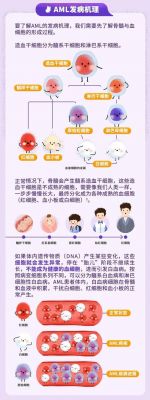 急性髓系白血病M4,能治好吗?m4m-图2 急性髓系白血病M4,能治好吗?m4m-图2