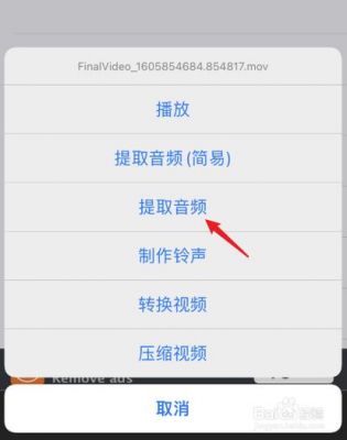 苹果音频传输(苹果音频传输与连接经理黄磊)-图1 苹果音频传输(苹果音频传输与连接经理黄磊)-图1
