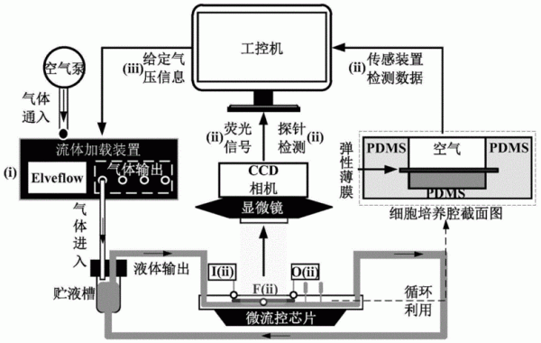 传输流ts流（传输层中进行流控可以采用哪几种方案）