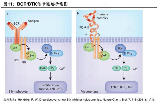 数据传输bCR（数据传输方式）