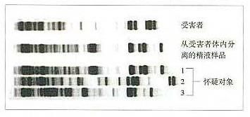 指纹传输采用什么协议(指纹可以传送吗)-图2 指纹传输采用什么协议(指纹可以传送吗)-图2