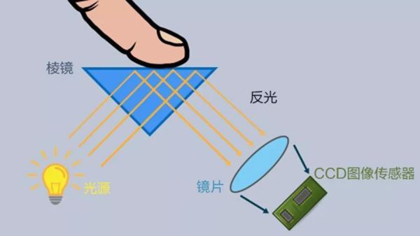 指纹传输采用什么协议(指纹可以传送吗)-图3 指纹传输采用什么协议(指纹可以传送吗)-图3