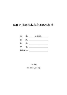 光传输技术pdf(光传输技术实训实验报告)-图3 光传输技术pdf(光传输技术实训实验报告)-图3