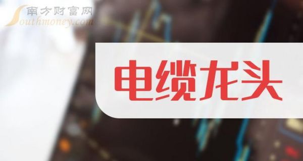 数据传输电缆（数据传输电缆龙头股）