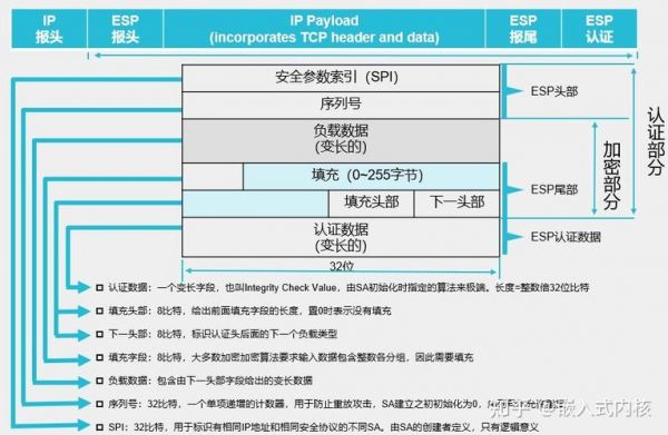 esp协议传输(esp传输模式ip范围)-图1 esp协议传输(esp传输模式ip范围)-图1