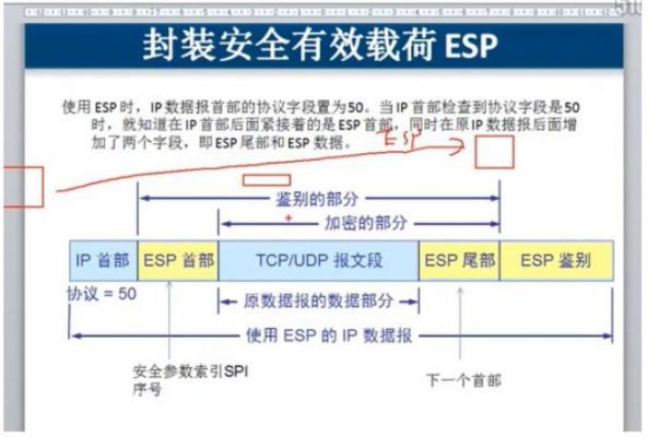 esp协议传输(esp传输模式ip范围)-图2 esp协议传输(esp传输模式ip范围)-图2