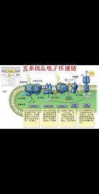 什么是光传输系统（光传输系统的作用）