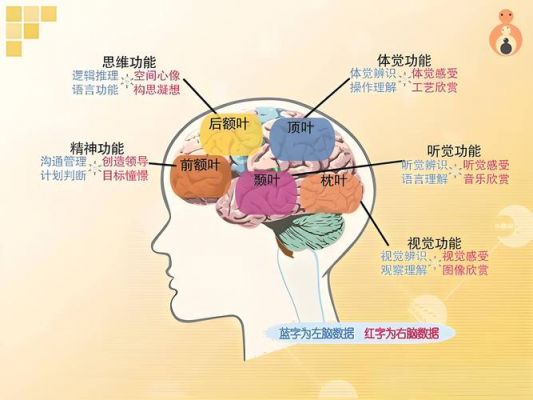 大脑传输语言(大脑传输技术)-图1 大脑传输语言(大脑传输技术)-图1